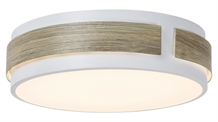 R 5645 Plafonjera led Salma 18W 