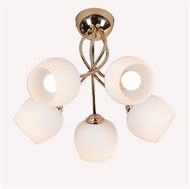 V20083 Luster