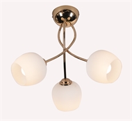 V20082 Luster